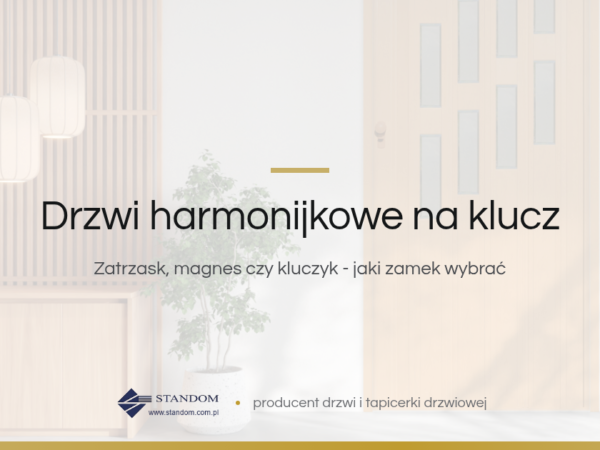 Drzwi harmonijkowe z zamkiem na klucz - poradnik Standom